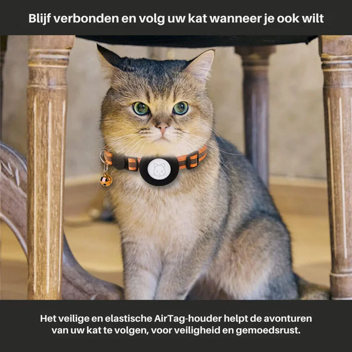 Durable green cat collar with an essential breakaway buckle for feline safety & ultimate comfort.