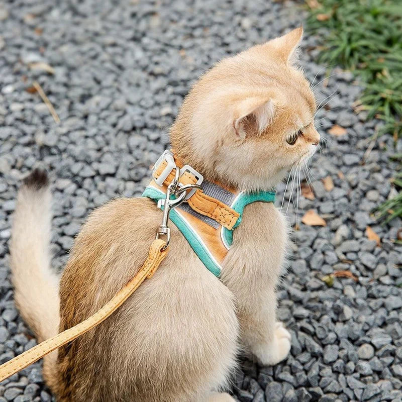Unisex comfortable cat harness for safe outdoor adventures & walks.