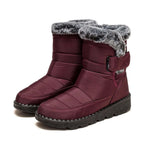 Wine red