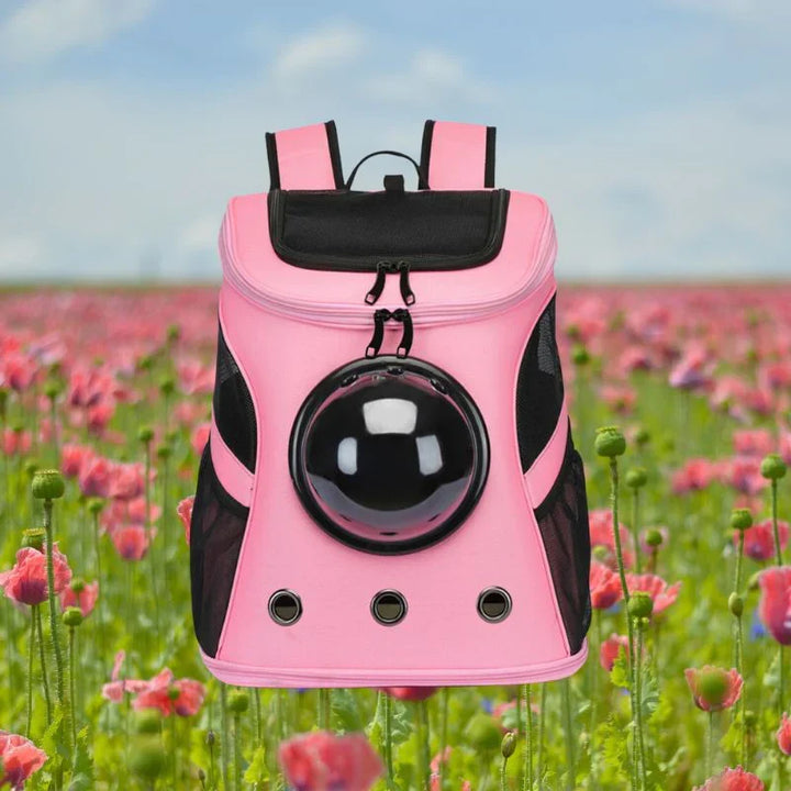 Safe and comfortable cat backpack for secure animal transport. Breathable design ensures happy travels.