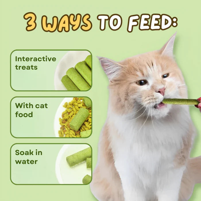Pet wellness: Cat grass chewing sticks for natural dental care, digestive support & hairball management. Feline supplies.