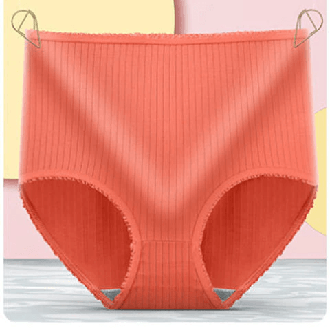 Multi-pack women's leakproof briefs; soft, breathable silk-cotton for daily wear & protection.