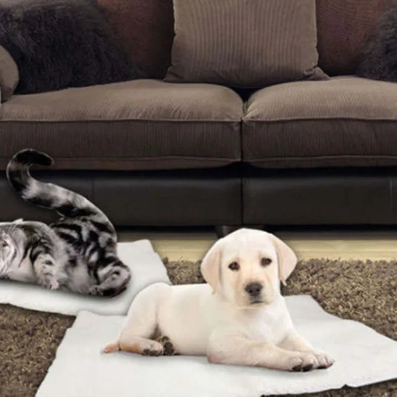 Self-warming pet mat for dogs & cats, providing cozy comfort. Ideal soft dog bed & cat bed for winter.