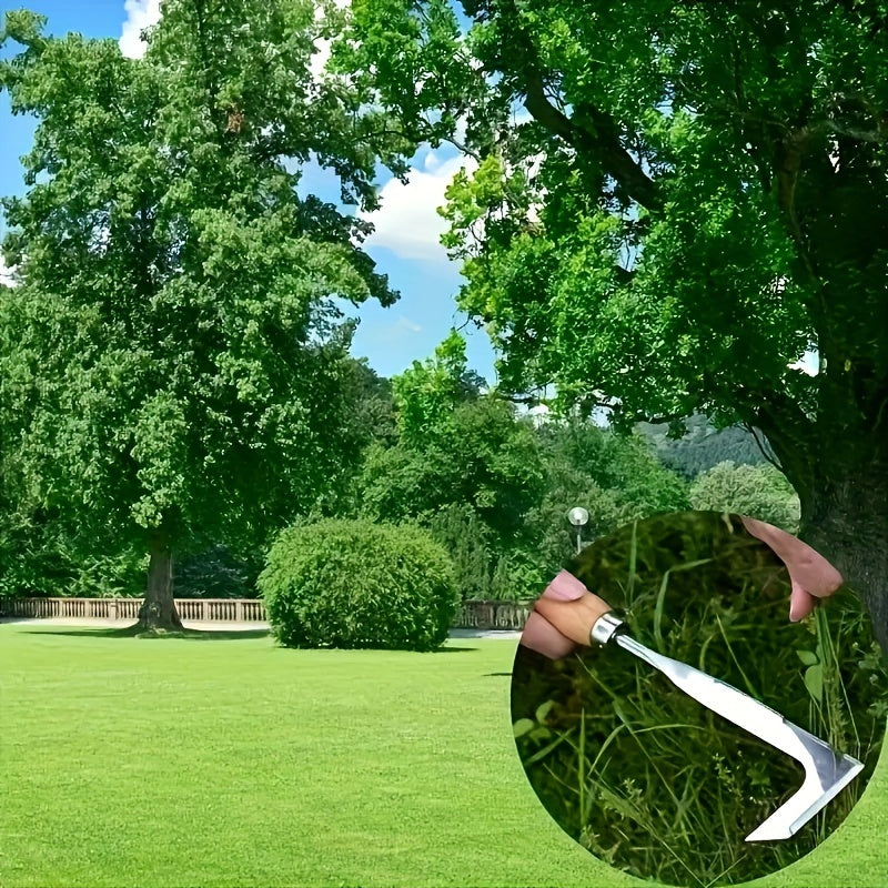 Stainless steel weed remover tool, perfect for efficient path, crack, and edge cleaning in your garden.