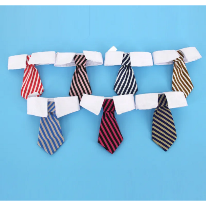 Unisex elegant pet collar with a tie, a striped accessory for dogs and cats.