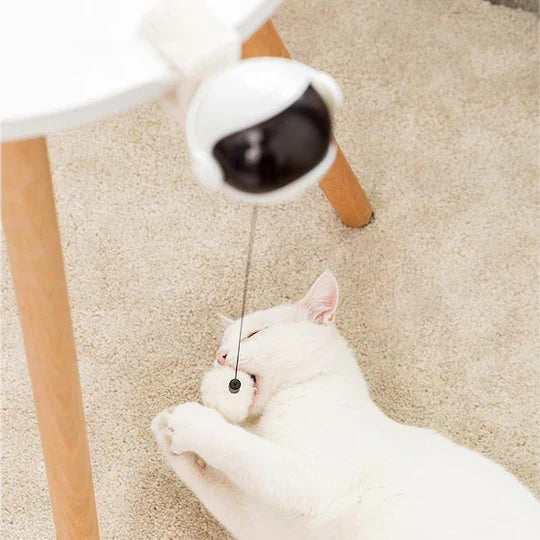 Automatic interactive cat toy for solo fun & feline enrichment. Keeps cats entertained & active.