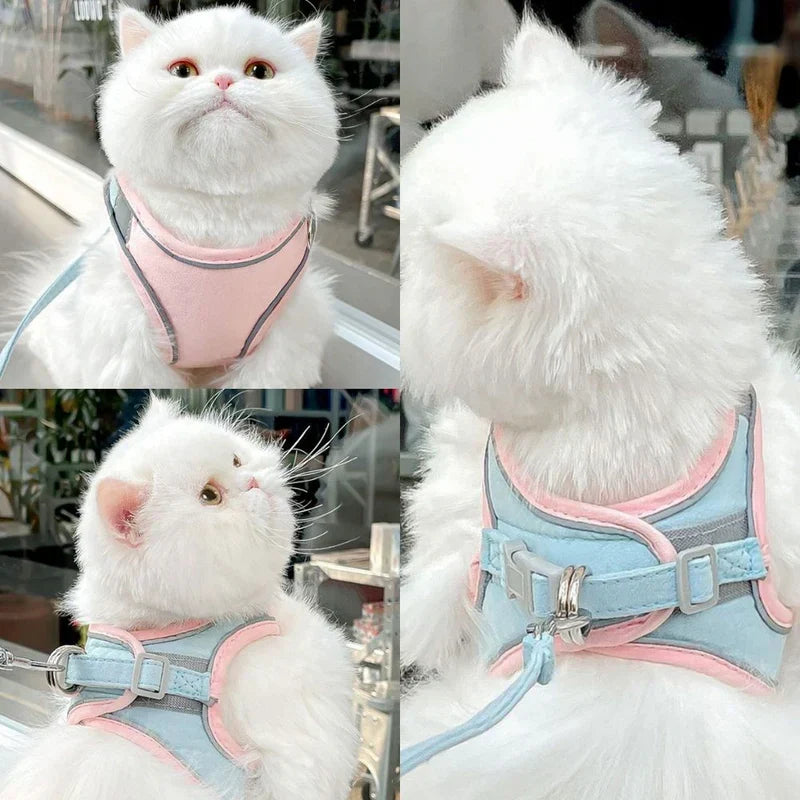 Comfortable, escape-proof cat harness for adventurous felines exploring outdoors.