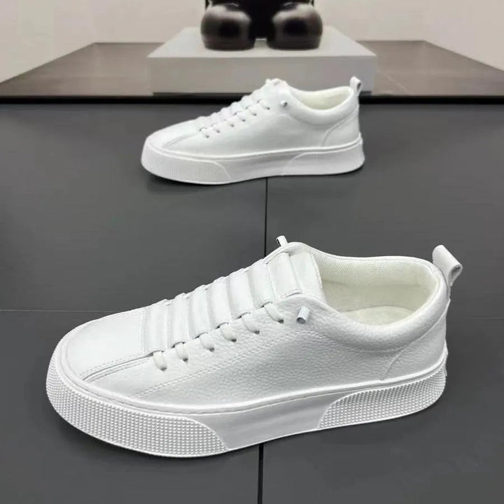 Men's low-top casual sneakers, sleek design for everyday style & comfort.