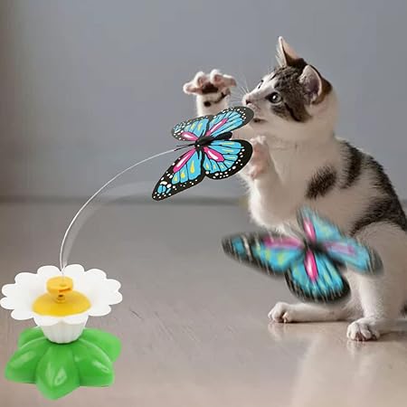 Interactive butterfly cat toy in action, stimulating feline playtime for indoor cats & kittens. Pet enrichment.