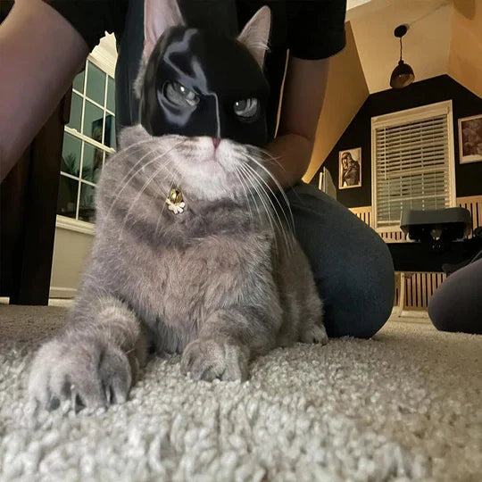 High-quality animal mask, a heroic cat accessory ideal for pet parties, photoshoots, and Halloween.