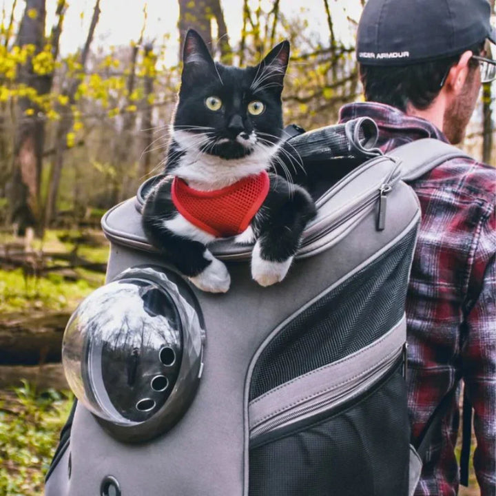 Breathable cat carrier backpack designed for pet comfort, with ample ventilation for any journey.