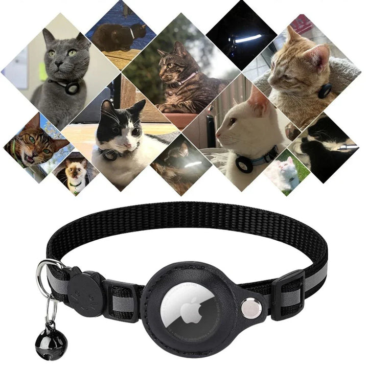 Adjustable blue breakaway cat collar, essential for feline safety, includes a small jingling bell.