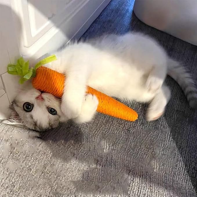 Durable sisal carrot cat scratching post toy for healthy claws & feline enrichment. Interactive pet play.