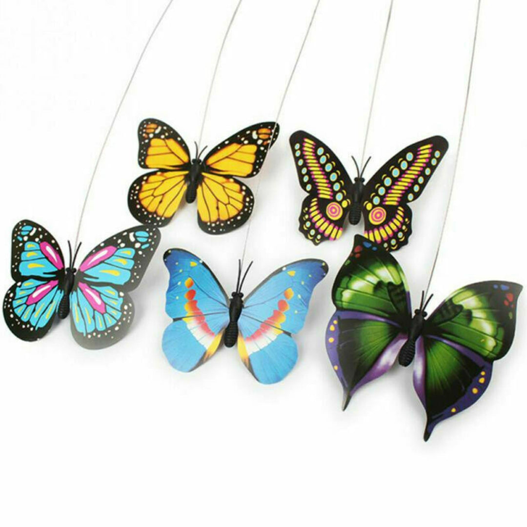 A stimulating interactive butterfly cat toy for pets, perfect for hours of indoor playtime and feline fun.