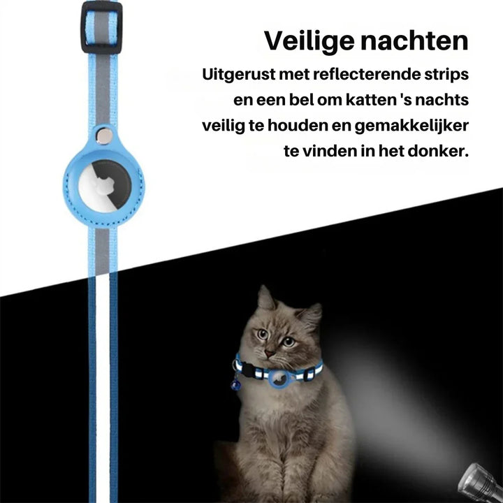 Cat wearing a blue safety release collar with a bell, showcasing comfort & pet safety features.
