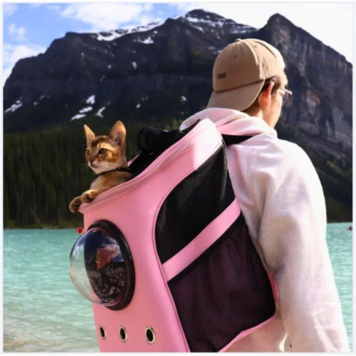 Lightweight unisex cat backpack with a panoramic bubble window for comfortable and secure animal transport.