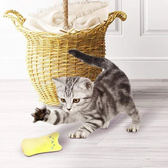 Fun catnip toy, durable & scratch-resistant. Perfect for interactive playtime, feline entertainment & kitten enrichment.