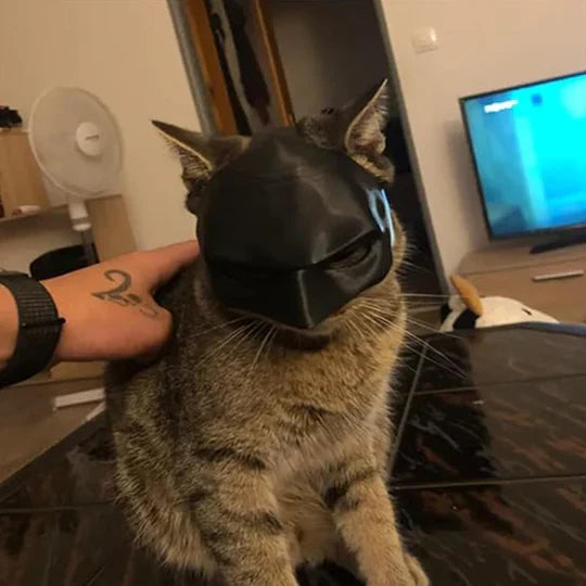 Adult cat mask for heroic cosplay. A unique pet costume, great for Halloween and photoshoots.