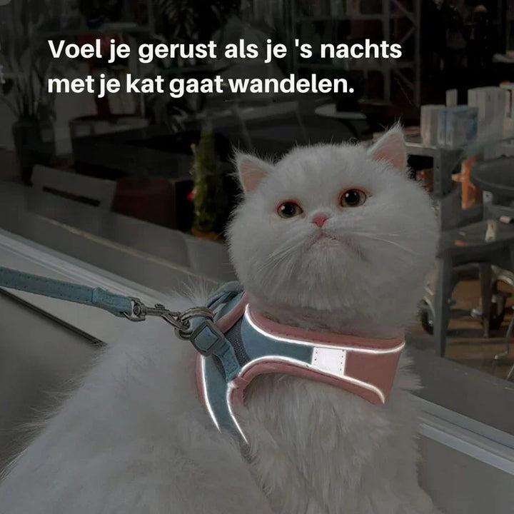 High-quality cat harness ensuring comfort and security for outdoor exploration.