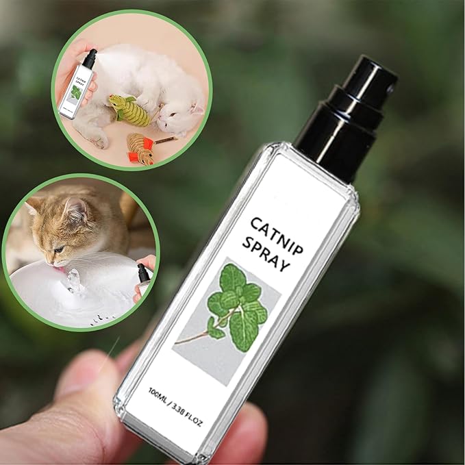 Natural Cat Silvervine Spray, encourages playful behavior & provides enriching mental stimulation.