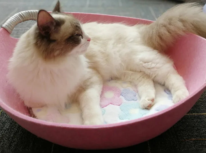 Soft felt cat comfort basket with handles, a cozy and stylish modern pet bed accessory.