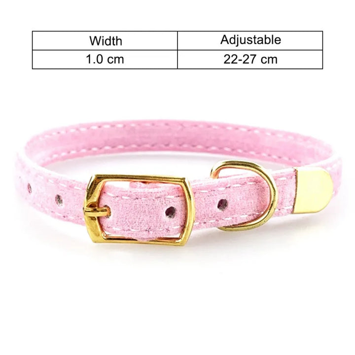 Black velour cat collar featuring a luxurious golden buckle; soft and adjustable pet accessory.