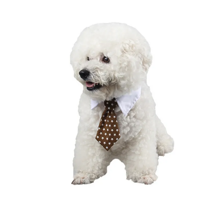 Elegant pet collar, dog & cat accessory with striped bowtie, formal petwear fashion.