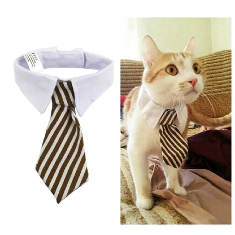 Elegant striped pet collar with a cute bowtie, perfect for dogs & cats.