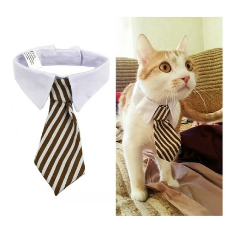 Elegant striped pet collar with a cute bowtie, perfect for dogs & cats.