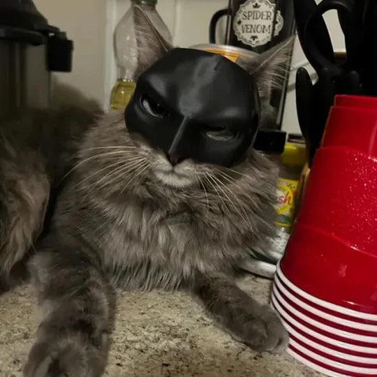 Cute kitten mask: black heroic design, perfect for pet photoshoots and a funny cat accessory.