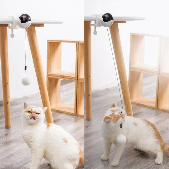 Versatile automatic cat toy from pet supplies for interactive solo fun. Promotes exercise & mental health.