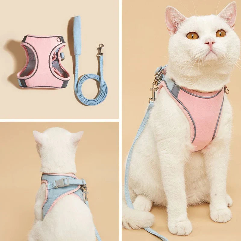 Secure feline gear: a comfy, adjustable pet harness for adventurous cats.