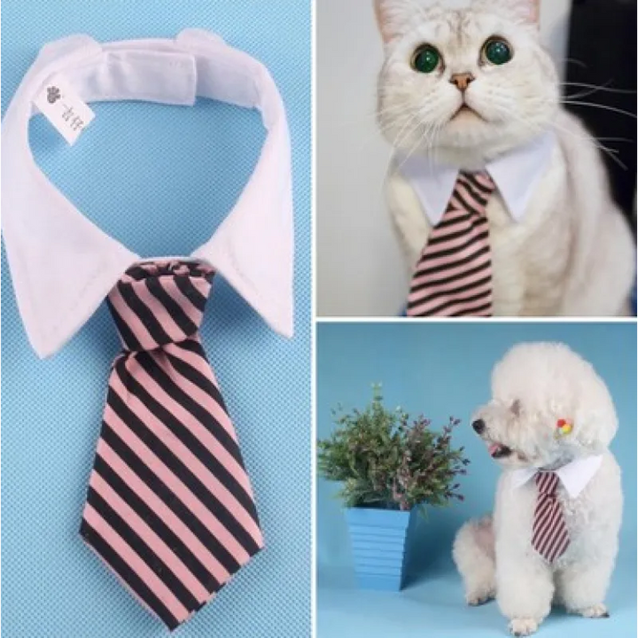 Chic cat collar with a striped design & bowtie, a cute fashion accessory for felines.