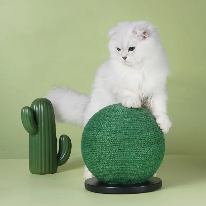 Healthy claw care with this sisal scratching ball, an essential feline enrichment pet accessory.