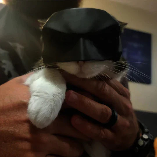 Heroic cat costume mask, a funny accessory for your pet's Halloween outfit or cosplay event.