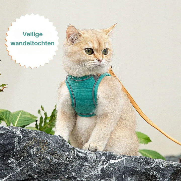 Reflective & adjustable pet harness, essential for safe feline adventures.