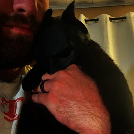 Stylish cat superhero mask, a unique pet costume for Halloween, parties, and pet photoshoots.