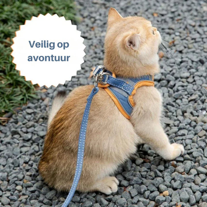 Unisex cat harness designed for maximum comfort and secure fit on walks.