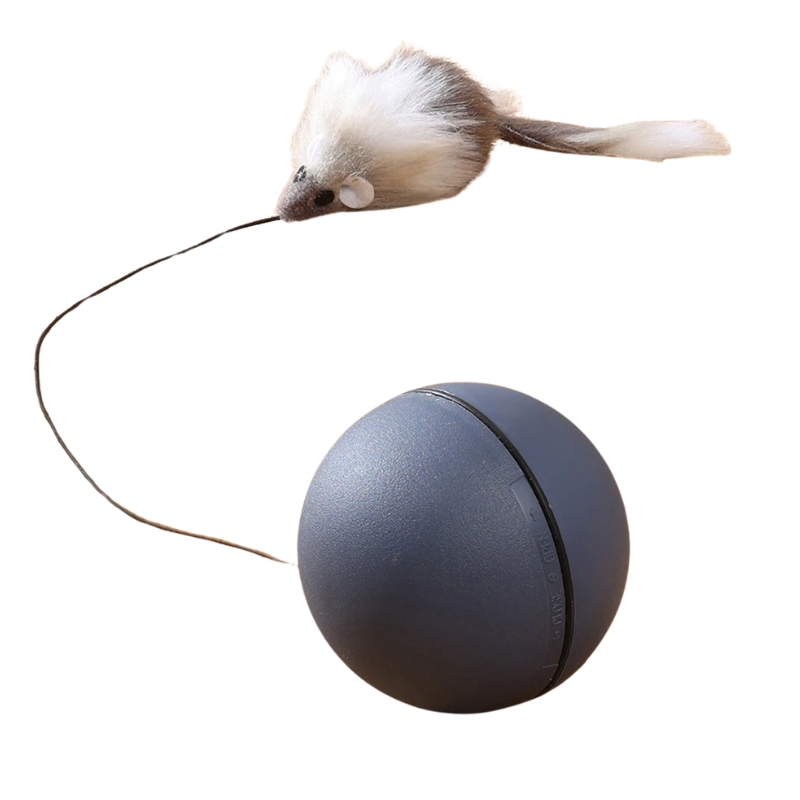 Automatic smart cat toy ball with feather, stimulating hunting instincts & providing exercise for playful felines.