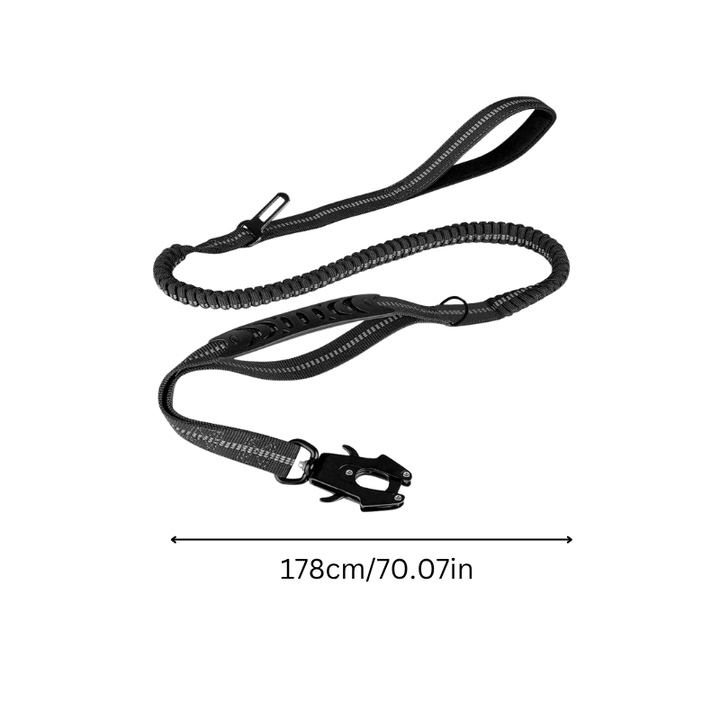 Durable nylon heavy-duty dog leash, shock-absorbing design for large dogs & pet safety.