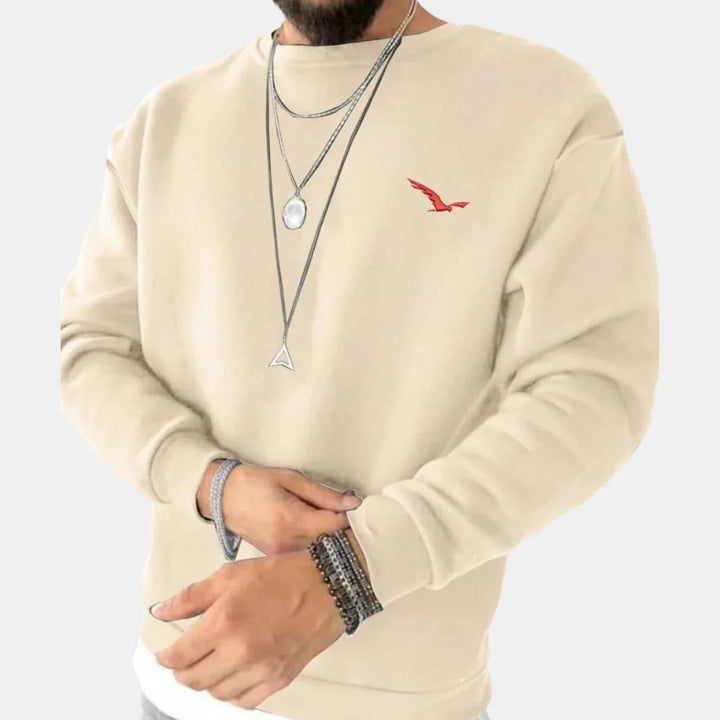 Stylish men's casual sweater. Comfortable long-sleeve pullover for everyday fashion and versatile layering.