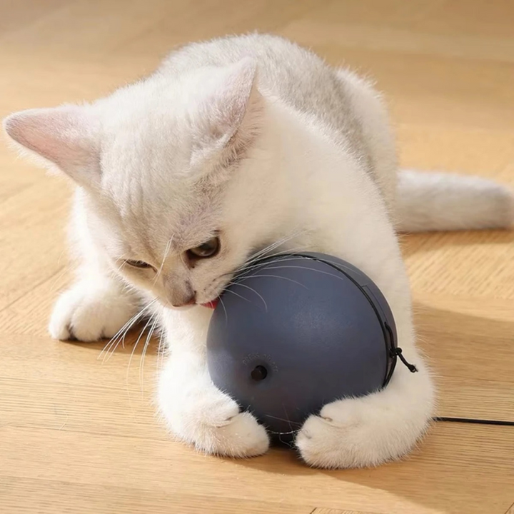 Smart automatic rolling cat toy ball. Interactive playtime, promotes feline exercise & engaging fun for indoor cats.