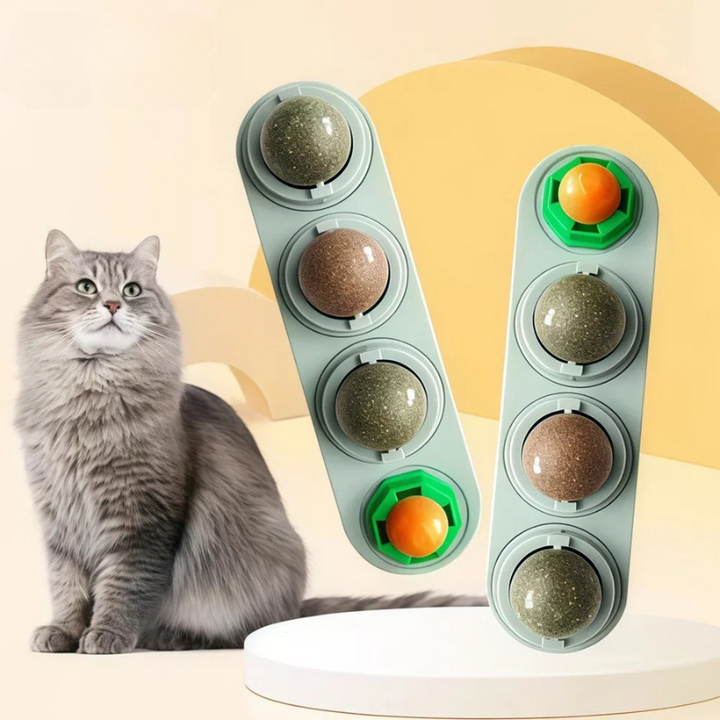 Interactive catnip wall toy for cats with dental benefits. Features silvervine & cat mint for play & stress relief.