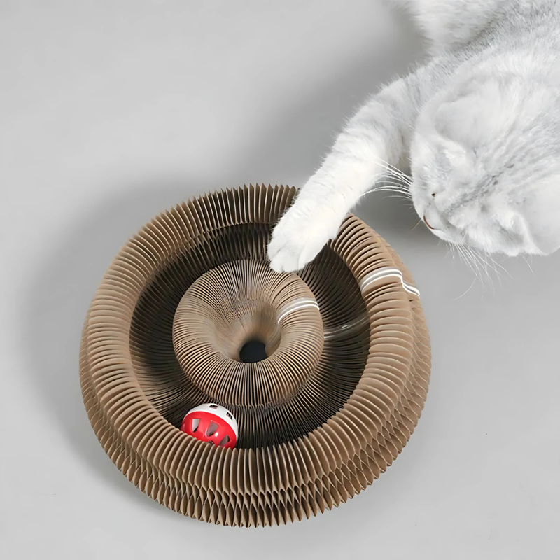 Interactive cardboard cat scratcher maze toy, customizable & durable for feline fun. Includes play tunnel & enrichment.