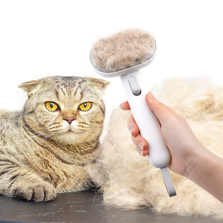 Self-cleaning cat deshedding brush for efficient fur removal & shiny feline coat. Durable pet grooming tool.