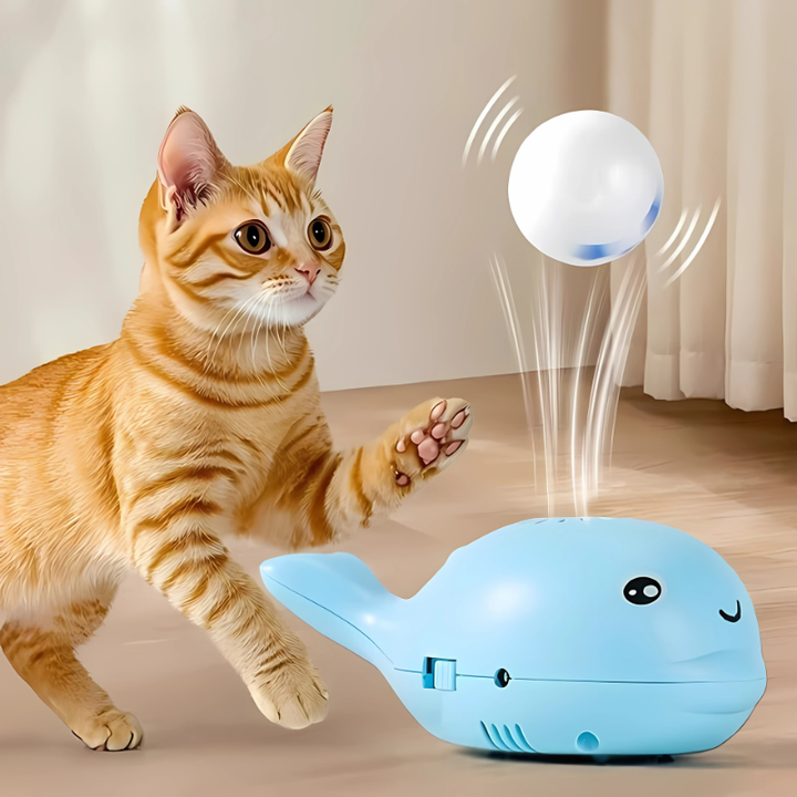 Interactive floating ball toy for cats & kittens; USB rechargeable pet play for endless indoor fun & entertainment.