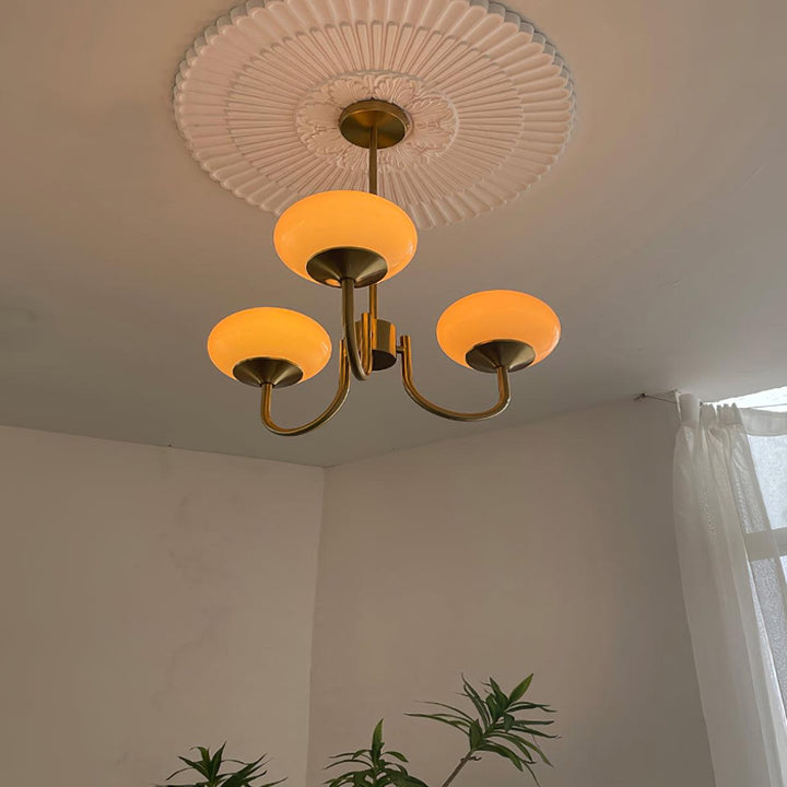 Stylish chrome pendant lamp, diffused light, perfect for contemporary offices.