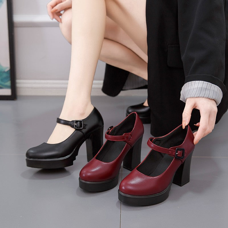 Sophisticated women's dress shoes, Mary Jane style with a comfortable block heel for parties & events.