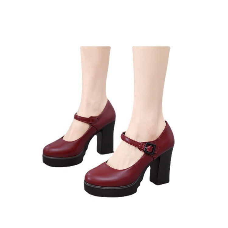 Women's elegant Mary Jane pumps featuring a comfortable block heel and classic strap design.