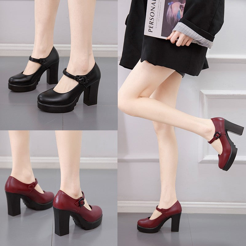 Versatile women's block heel Mary Jane pumps, chic and comfortable footwear for any elegant occasion.